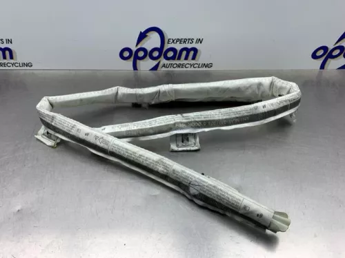 Airbag hemel links-8255120 (21874015)