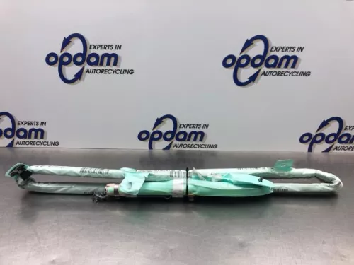 Airbag hemel links-8101100 (21114721)