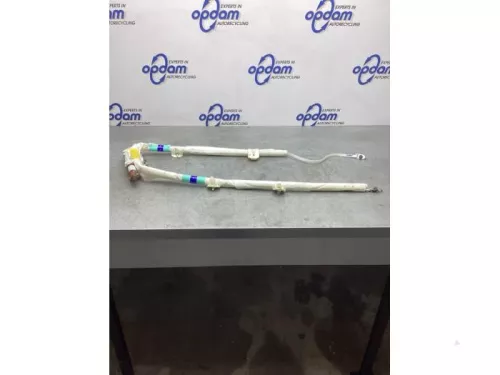 Airbag hemel links-7613120 (18046016)