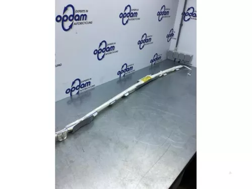 Airbag hemel links-7729992 (16984058)