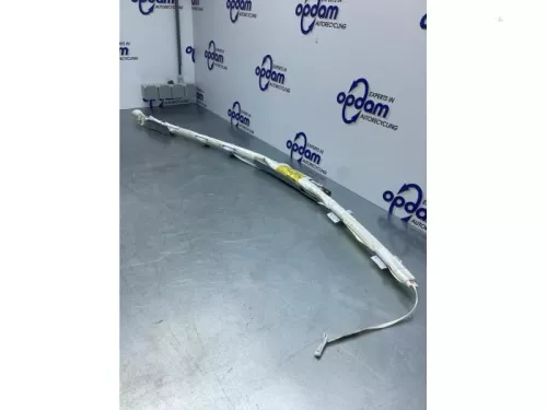 Airbag hemel links-7729992 (16984058)