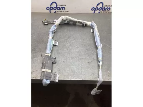 Airbag hemel links-8097267 Airbag hemel links-8097267