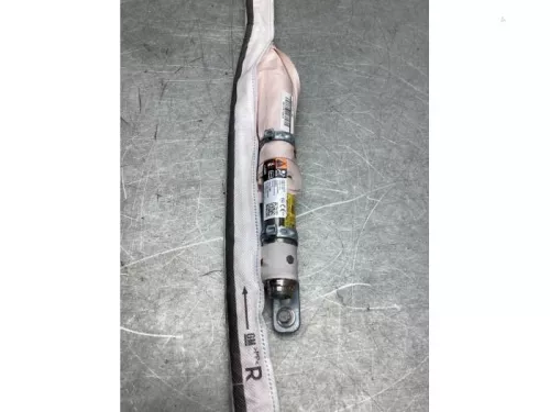Airbag hemel rechts-7990378 (19005212)