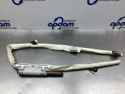 Airbag hemel rechts-7911337 (17959734)