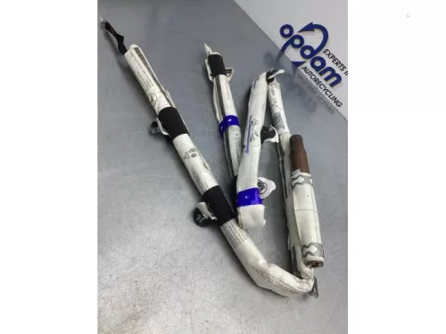 Airbag hemel rechts-7589061 (17053107)