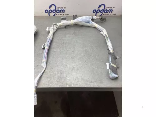 Airbag hemel rechts-8097267 (20748478)