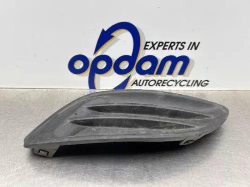 Bumper Rooster-8290905