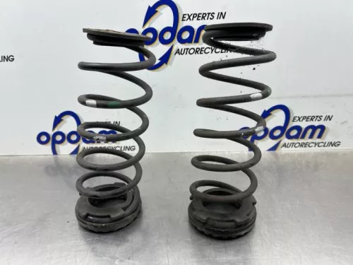 Schroefveer achter-8360069