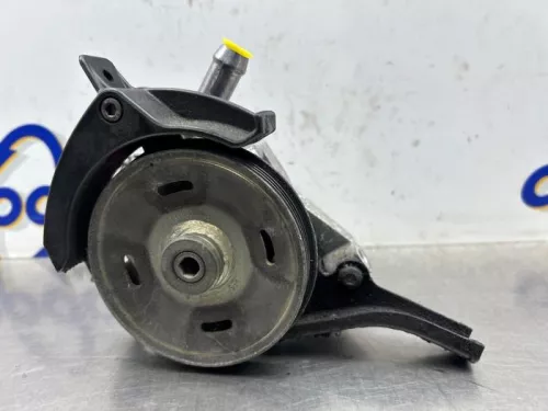 Stuurbekrachtiging Pomp-8311293