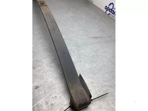 Bladveer achter-8257224 (22559953)