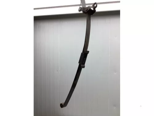 Bladveer achter-7613490 (17655266)