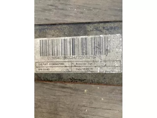 Bladveer achter-7870858 (12645099)