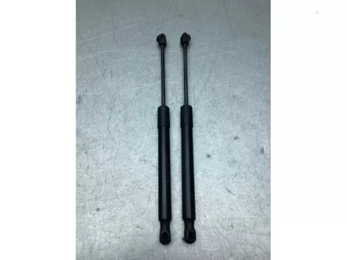 Set Gasdempers Achterklep-8266832