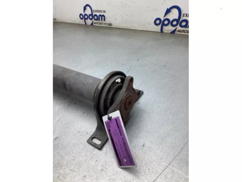 Tussenas-8287250