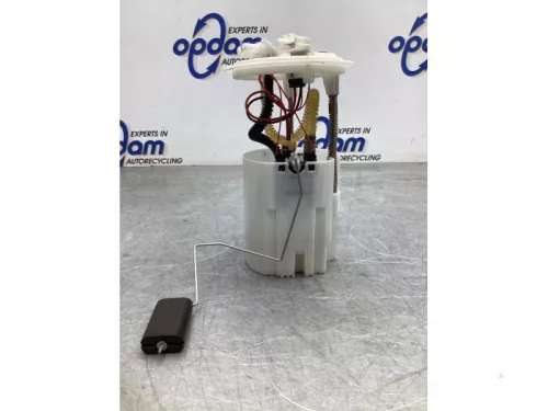 Brandstofpomp Elektrisch- (19407433)