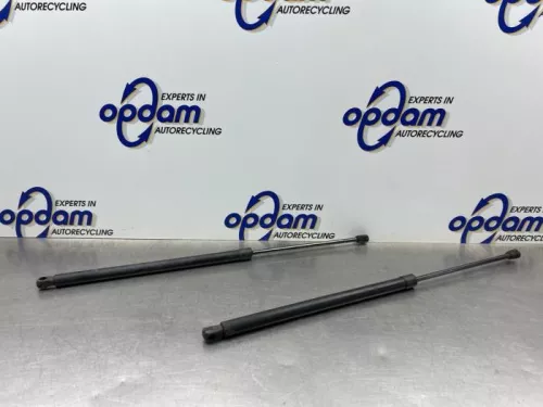 Set Gasdempers Achterklep-8363669