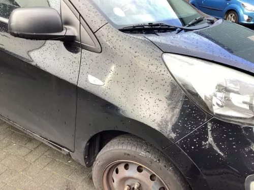 Scherm rechts-voor-8403127