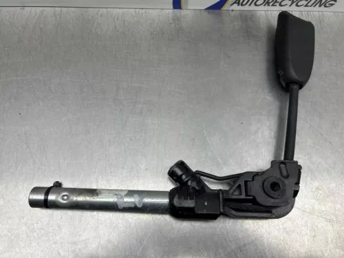 Gordelspanner links-8332957