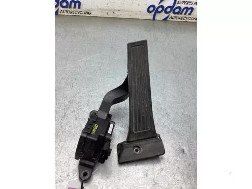 Gaspedaalpositie Sensor-8233636