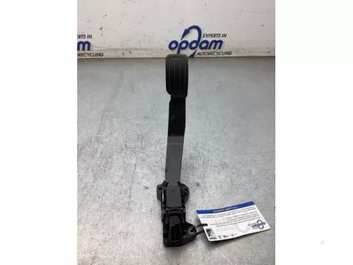 Gaspedaalpositie Sensor-8269067