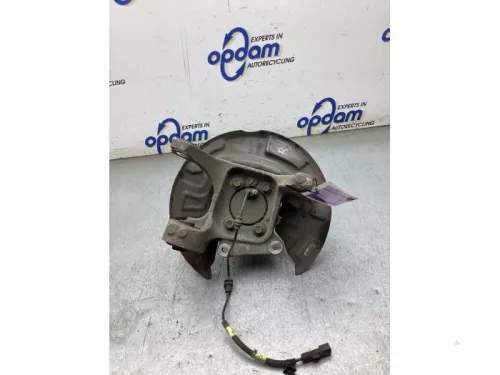 Fusee rechts-achter-8209892