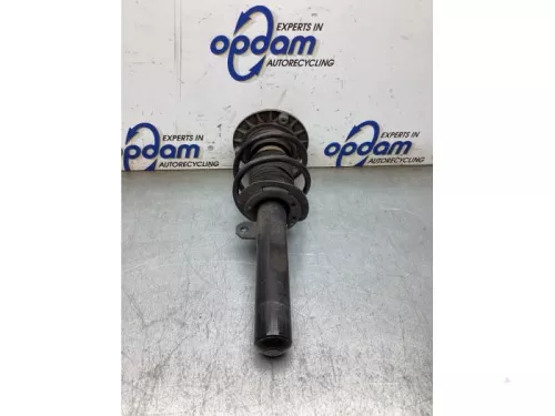 Schokdemperpoot rechts-voor-8316901