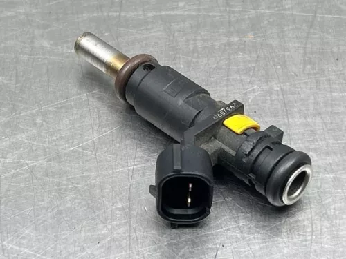 Injector (benzine injectie)-8136235