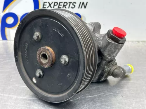 Stuurbekrachtiging Pomp-8431142