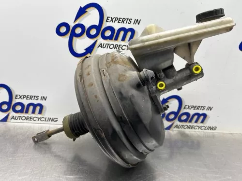 Rembekrachtiger-8432621