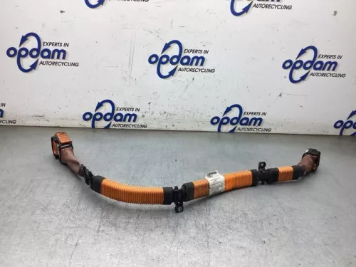 HV kabel (hoog voltage)-8418863