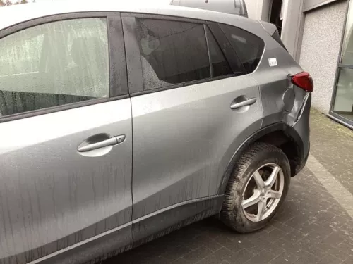 Portier 4Deurs links-achter-8434591