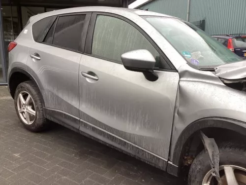 Portier 4Deurs rechts-voor-8434591