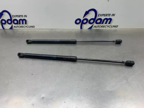 Set Gasdempers Achterklep-8360181