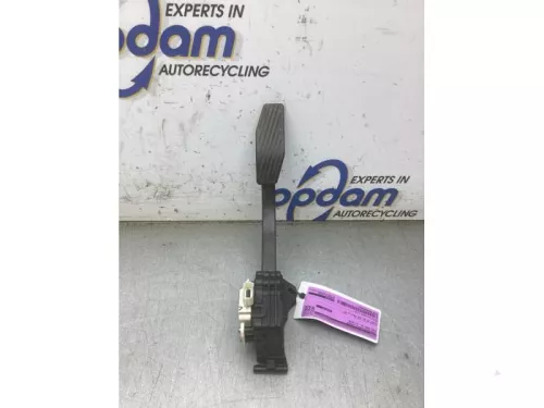 Gaspedaalpositie Sensor-8325925