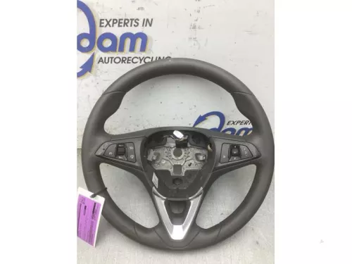 Stuurwiel-8325925