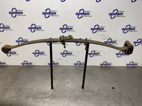 Bladveer achter-8439696