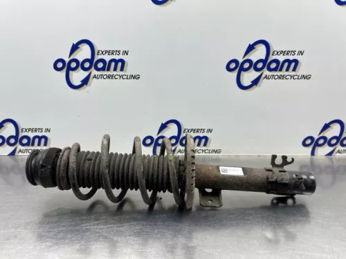 Schokdemperpoot rechts-voor-8453350