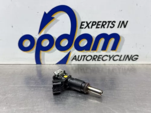 Injector (benzine injectie)-8438263