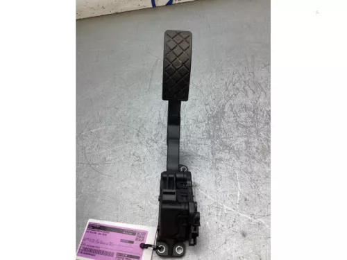 Gaspedaalpositie Sensor-8410317