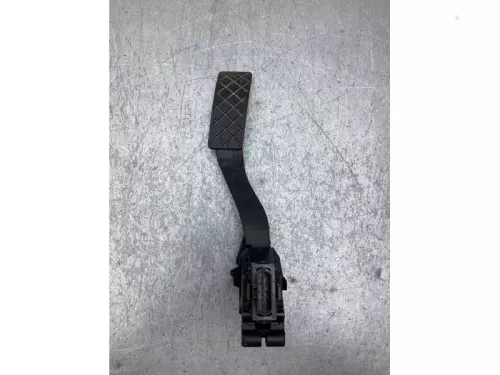 Gaspedaalpositie Sensor-8430816