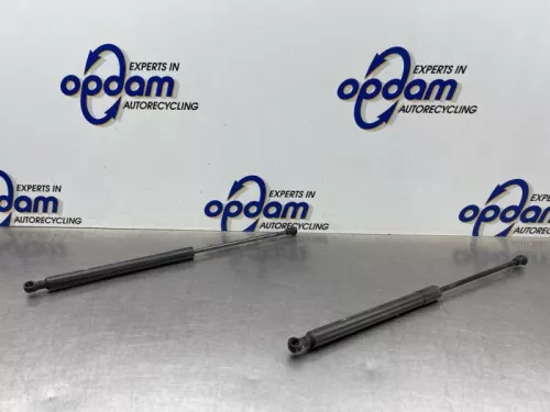 Set Gasdempers Achterklep-8362833