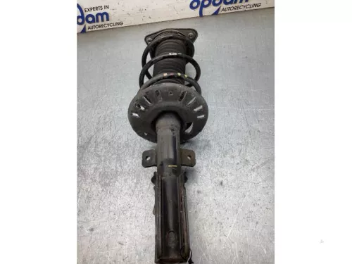Schokdemperpoot links-voor-8313749