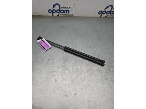 Set Gasdempers Achterklep-8402519