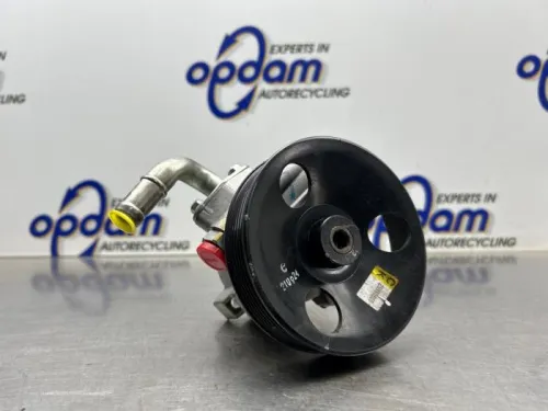Stuurbekrachtiging Pomp-8300784