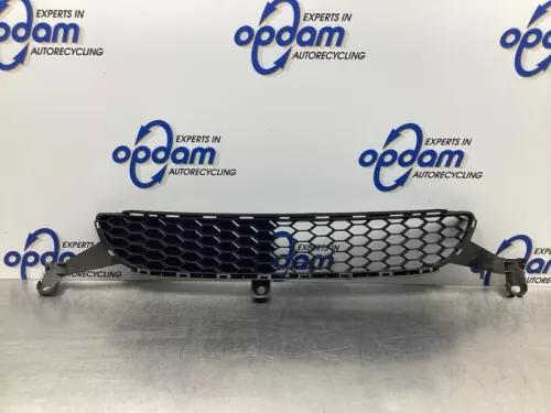 Bumper Rooster-7922649