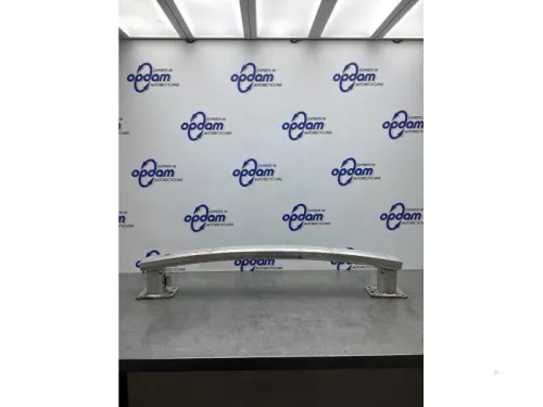Bumperframe achter-7936875 (20909745)