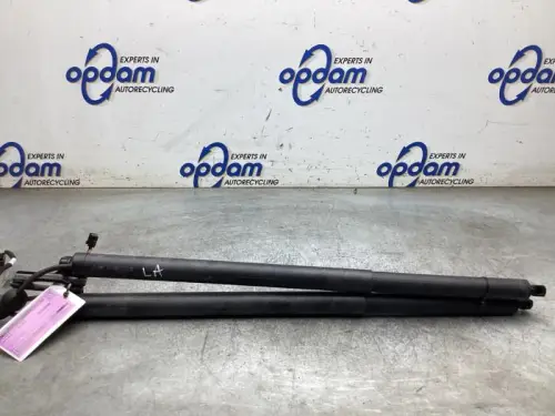 Set Gasdempers Achterklep-8292493