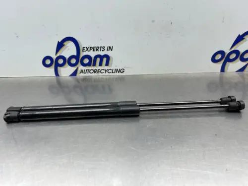 Set Gasdempers Achterklep-8358984