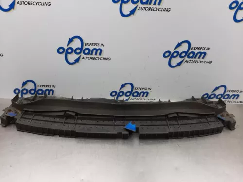 Bumperframe voor-7614159 (16125475)