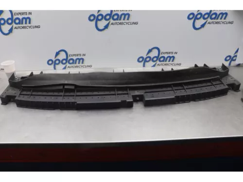 Bumperframe voor-7618697 (14919287)